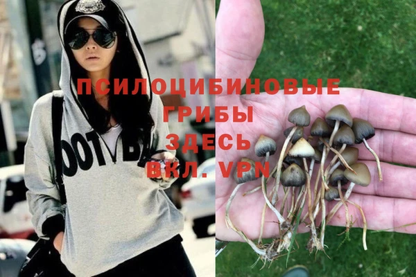 спиды Волосово