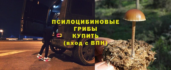 спиды Волосово