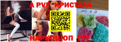 шишки Партизанск