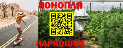 гидра Пенза
