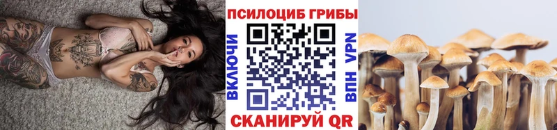 где купить   Снежинск  Псилоцибиновые грибы мухоморы 