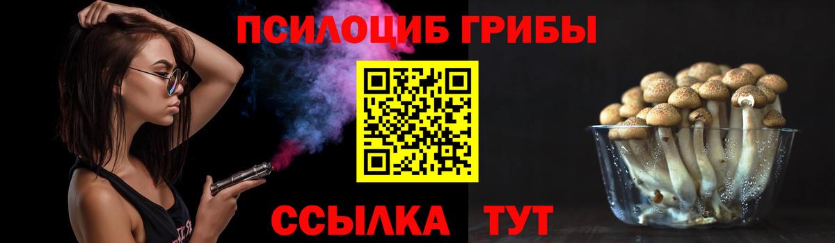 Галлюциногенные грибы GOLDEN TEACHER Снежинск
